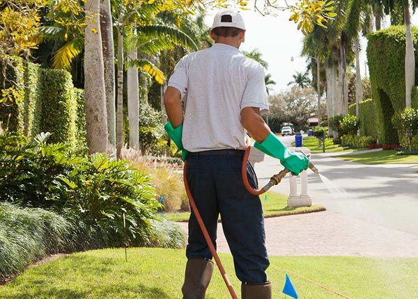 About Raymond NE Pest Control